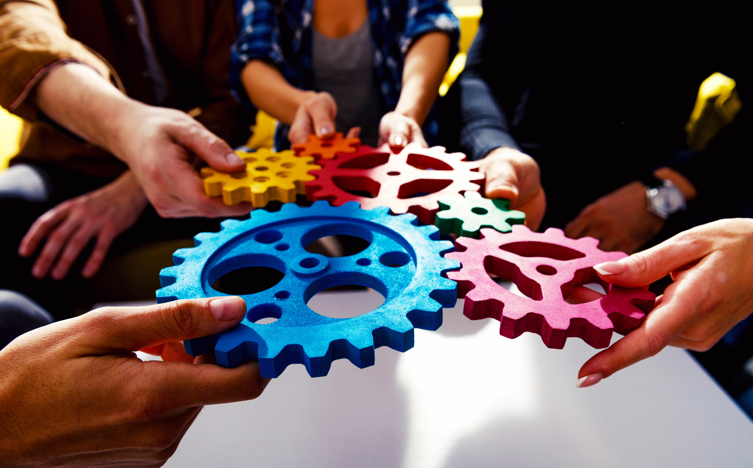 Expérience des profils 4 colors - Team First